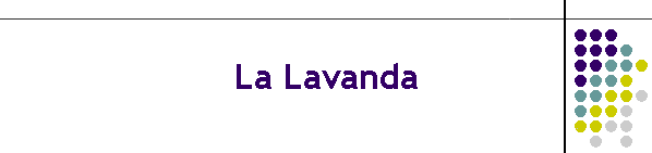 La Lavanda
